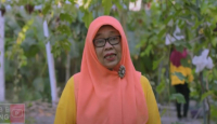 Kisah Ibu-ibu di Bantul Bikin Kampung Anggur, Panen Tiap Hari! - GenPI.co Jogja