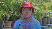 Keren! Kampung Padat di Kota Yogyakarta Disulap Jadi Kebun Sayur - GenPI.co Jogja