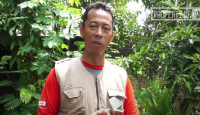 Kisah Sukses Pria di Kulon Progo, Untung Banyak dari Ternak Domba - GenPI.co Jogja