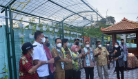 Bantaran Kali Code Yogyakarta Disulap Jadi Destinasi Wisata - GenPI.co Jogja