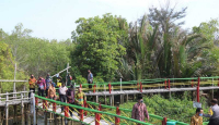 Pemkab Kulon Progo Janjikan Pengembangan Wisata Mangrove - GenPI.co Jogja