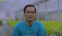 Berkat Ketekunan, Pria di Sleman Ini Sukses Bertani Hidroponik - GenPI.co Jogja