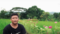 Top! Pemuda di Bantul Sukses Budi Daya Lebah Madu Klanceng - GenPI.co Jogja