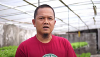 Kisah Sukses Pria di Sleman, Bertani Hidroponik saat Pandemi - GenPI.co Jogja