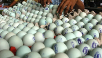 3 Risiko Kebanyakan Makan Telur Asin bagi Kesehatan, Bahaya - GenPI.co Jogja