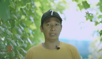 Telaten, Pria di Bantul Sukses Bisnis Menggiurkan Kebun Anggur - GenPI.co Jogja