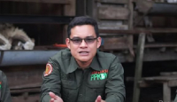 Strategi PPKDY Cukupi Pakan Peternak Kambing Yogyakarta - GenPI.co Jogja