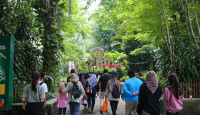 Libur Nataru, Malioboro dan GL Zoo Mulai Dipadati Wisatawan - GenPI.co Jogja