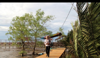 Belajar dan Pelesiran di Destinasi Wisata Mangrove Sungai Kupah - GenPI.co Kalbar