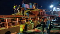1.800 Ekor Kambing Tiba dari NTT, 120 Mati dalam Perjalanan - GenPI.co Kalbar