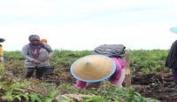 Kubu Raya Prioritaskan Pembangunan Berbasis Pedesaan - GenPI.co Kalbar