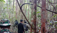 Pencarian Alwi Berlanjut, Satgas Pamtas di Badau Sisir Hutan Desa Kekurak - GenPI.co Kalbar