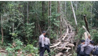 Cegah Pembalakan Hutan Lindung, Polres Bengkayang Gencarkan Patroli - GenPI.co Kalbar