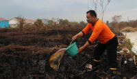 2 Hektare Lahan Terbakar di Sungai Raya Berhasil Dipadamkan Polisi-Damkar - GenPI.co Kalbar
