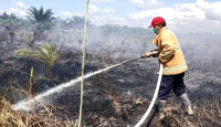 Lahan Terbakar di Kota Pontianak Tidak Boleh Digunakan Selama 5 Tahun - GenPI.co Kalbar