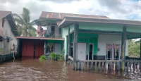 Banjir Rendam Ratusan Rumah Warga di Singkawang, Dewan: Tanggul Tak Pernah Diperbaiki - GenPI.co Kalbar