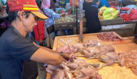 Jelang Idulfitri, Harga Daging Ayam Ras Stabil, Minyak Goreng Naik - GenPI.co Kalbar