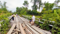 Terancam Ambruk, Jembatan Ulak Pauk-Simpang Apan Butuh Perhatian Pemerintah - GenPI.co Kalbar