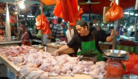 Pasca Lebaran, Harga Daging Ayam di Kota Pontianak Turun - GenPI.co Kalbar