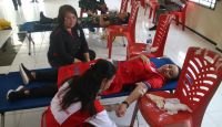 Karolin Donorkan Darah pada Kegiatan Jelimpo Sehat dan Peduli Lingkungan - GenPI.co Kalbar
