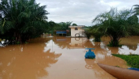 Banjir Kutai Timur Terparah 10 Tahun Terakhir, Lihat Akibatnya - GenPI.co Kaltim