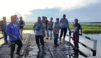 Ratusan Hektare Sawah di Penajam Paser Utara Kebanjiran - GenPI.co Kaltim