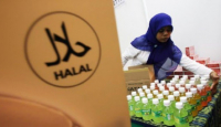 Biaya Mengurus Sertifikat Halal, untuk Usaha Mikro Murah Lho - GenPI.co Kepri