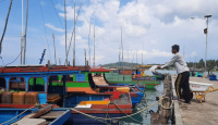 Jatah BBM Subsidi untuk Nelayan di Natuna Berkurang, Kok Bisa? - GenPI.co Kepri
