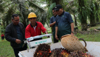 6.220 Calon PMI Direkom Disnakertrans Lombok Tengah - GenPI.co NTB