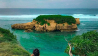 Pantai Kura-kura di Jerowaru, Ada yang Pemandangan Lucu Disini - GenPI.co NTB