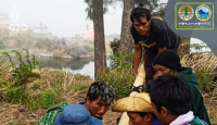 Wisatawan Asing Jatuh di Gunung Rinjani Saat ke Segara Anak - GenPI.co NTB