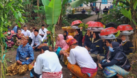 Filosofi Ritual Nunas Neda Bagi Petani Lombok Timur - GenPI.co NTB