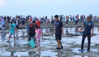 Pantai An Lombok Tengah Jadi Lokasi Puncak Bau Nyale - GenPI.co NTB