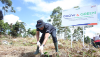 BRI Peduli 'Grow & Green' Untuk Jaga Kelestarian Danau Toba - GenPI.co NTB