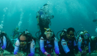 Pulihkan Ekosistem Wisata Laut di Aceh, Pekerja BRI Lakukan Transplantasi Terumbu Karang di Perairan Kepulauan Sabang - GenPI.co NTB