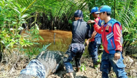 Detik-Detik Warga Diterkam Buaya, Ada Keajaiban - GenPI.co Riau