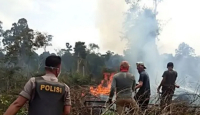 Polda Riau Tangkap 9 Pelaku Karhutla, di Mana Saja? - GenPI.co Riau