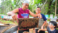 3 Manfaat Lilin Lebah untuk Kesehatan, Bibir Jadi Lembut! - GenPI.co Riau