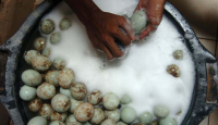 3 Manfaat Kesehatan Mengonsumsi Telur Asin, Ajaib! - GenPI.co Riau