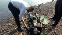Heboh, Mayat Pria Ditemukan Mengapung di Sungai Kampar - GenPI.co Riau