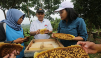 3 Khasiat Lilin Lebah untuk Kesehatan, Bisa Melembapkan Kulit! - GenPI.co Riau