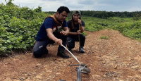 Panji Petualang Tangani Ular King Kobra yang Gigit Imam Rokhani - GenPI.co Riau