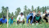 Bupati Meranti Beber Alasan Wilayahnya Beli Bawang dari Malaysia - GenPI.co Riau