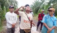 Konflik Lahan dengan PT DSI, Petani di Siak Makan Kaca Bola Lampu - GenPI.co Riau