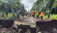 Lahan Amblas di Pulau Bengkalis, DLH: Bukan Kewenangan Kami - GenPI.co Riau