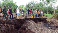 Pulau Bengkalis Terancam Hilang dari Peta, Wabup: Butuh Rp 2,5 T - GenPI.co Riau