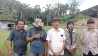 Tak Ada Subsidi, Petani Sawit di Siak Keluhkan Harga Pupuk Mahal - GenPI.co Riau