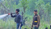 BBKSDA Riau Monitoring Karhutla Seluas 10 Hektare di Kawasan Konservasi - GenPI.co Riau