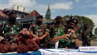 TNI AL Makassar Gagalkan Penyelundupan Terumbu Karang Merah, Top - GenPI.co Sulsel