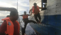 Detik-Detik Basarnas Kendari Evakuasi Penumpang Terapung di Perairan Wakatobi, Dramatis - GenPI.co Sultra